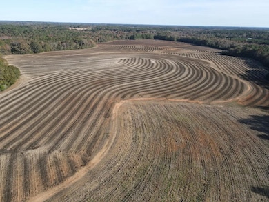 19800 Tervin Mill Rd, Andalusia, AL 36421 - photo 2