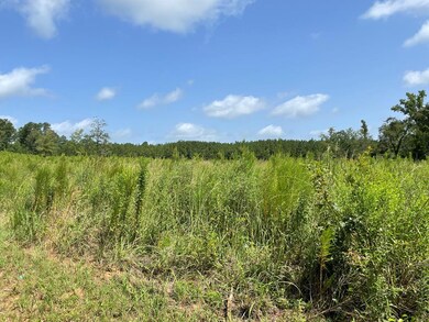 76.68 ac Fm 343, Nacogdoches, TX 75964 - photo 4