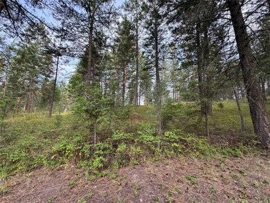 Nhn Rocky Point Rd, Polson, MT 59860 - photo 4