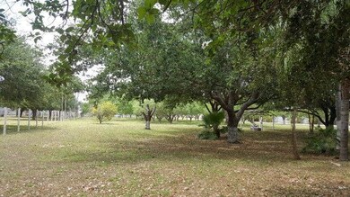 3514 N Mile 5 1 2 W, Weslaco, TX 78599 - photo 2