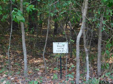 14670 Jade Forest Trail, Tyler, TX 75707 - photo 2