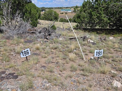0 Cr 8637 Lots 195 & 196 unit 252871, Concho, AZ 85924 - photo 2