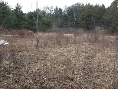 This open area is toward the back of the property 