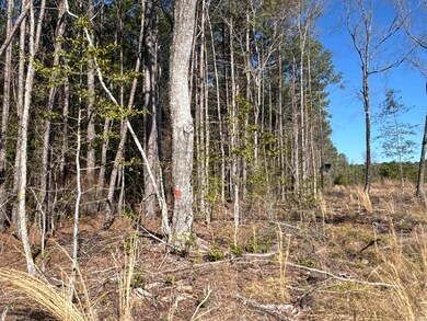 1 W Dallas County Line 20, Sparkman, AR 71763 - photo 2