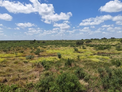 917 U S 59, George West, TX 78022 - photo 2
