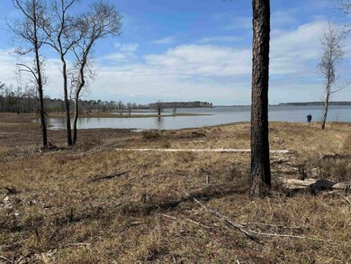 094 Pr 6026, Brookeland, TX 75931 - photo 4