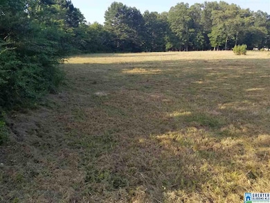 1030 Doss Dr unit SW COR SW 1/4, Morris, AL 35116 - photo 6