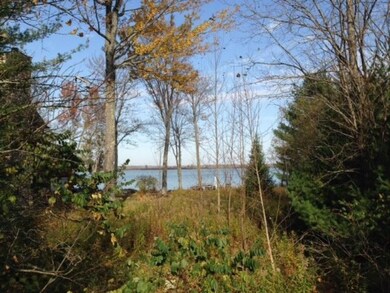 photo 2 (1)
