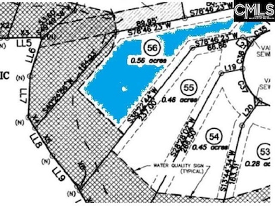 934 Salisbury Ct, Chapin, SC 29036 - photo 4