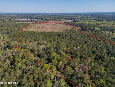 624 Blackwater Dr SW, Calabash, NC 28467 - photo 7