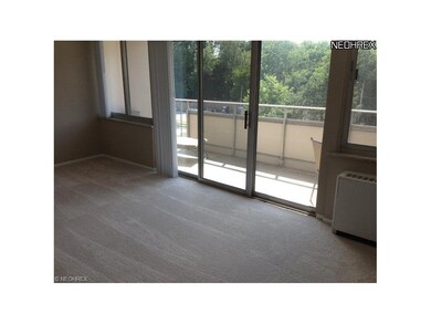 The Carlyle on the Lake unit 411, Lakewood, OH 44107 - photo 7