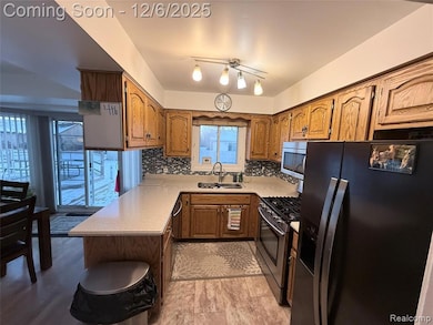 26384 Mapleridge Dr, Chesterfield, MI 48051 - photo 5