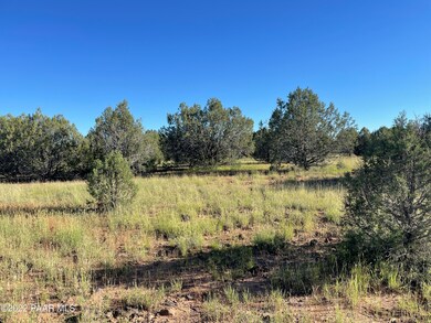Lot 51a Juniperwood Ranch, Ash Fork, AZ 86046 - photo 4