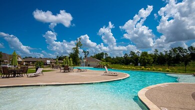 31002 Gullwing Manor Dr, Tomball, TX 77375 - photo 6