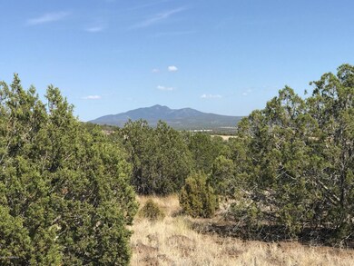 1390 W Joseph Dr, Ash Fork, AZ 86320 - photo 7