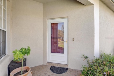 31034 Whitlock Dr, Wesley Chapel, FL 33543 - photo 5