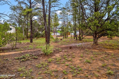 2800NEagleViewCir-ShowLow-AZ-2