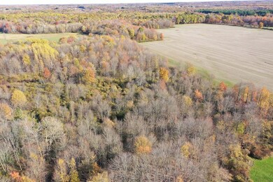 0 Brockway Rd unit LotWP001, Roaming Shores, OH 44085 - photo 5