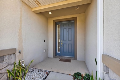 8128 Muddy Pines Place, Tampa, FL 33635 - photo 4