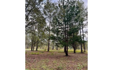 255 SW Cherrywood Way, Lake City, FL 32025 - photo 7