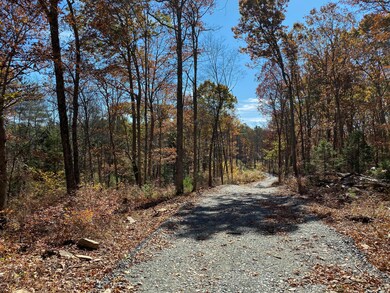 0 Tunnel Rd, Milford, PA 18337 - photo 5