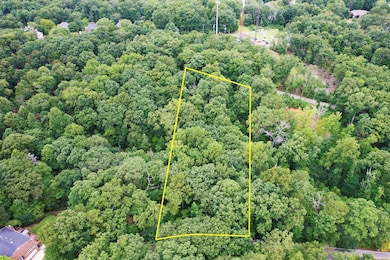 7-web-or-mls-DJI_0383445345534