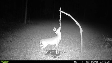 0 Grass Creek Ln, Athens, WI 54411 - photo 4