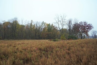 0 Dexter Chelsea Parcel H Rd unit 23086, Dexter, MI 48130 - photo 5