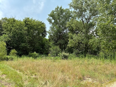 000 N Frontage Ln, Bridgeport, IL 62417 - photo 2