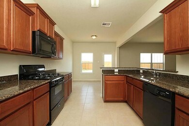 22307 Coral Cane Dr, Hockley, TX 77447 - photo 3