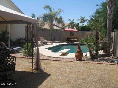 Back yard view