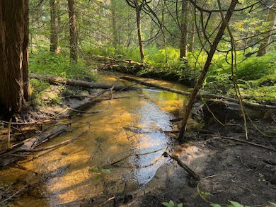 2400 ft, Allen Creek