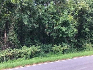 20.238 Brewer Rd, Louisburg, NC 27549 - photo 3