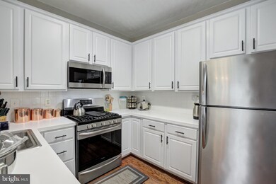 11306 Westbrook Mill Ln unit 304, Fairfax, VA 22030 - photo 3