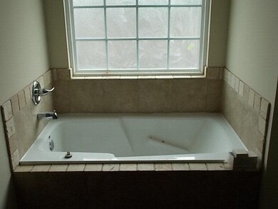 Master Bathtub