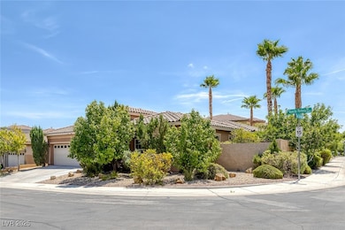 11425 Rancho Portena Ave, Las Vegas, NV 89138 - photo 3