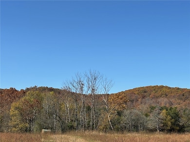 0 State Highway 374, Saint Joe, AR 72675 - photo 5