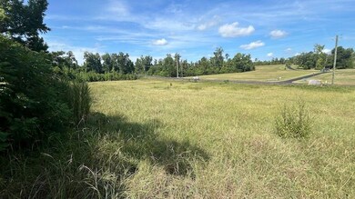 3130 Hwy 71 unit LotWP001, Marianna, FL 32446 - photo 2