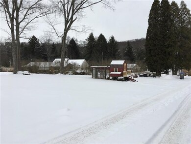 More Property with Chicken Coop and Chickens!
