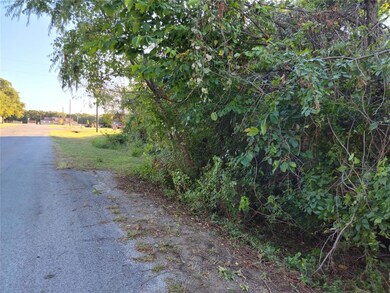 Lot 11 Candis Ct, Springtown, TX 76082 - photo 6