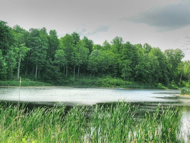 0 S Bingham St unit 5053410, Cornwall, VT 05753 - photo 6