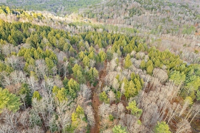 0 Vermont 106, Reading, VT 05062 - photo 7