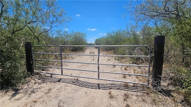 0 Tract 59 unit 462444, Benavides, TX 78341 - photo 3
