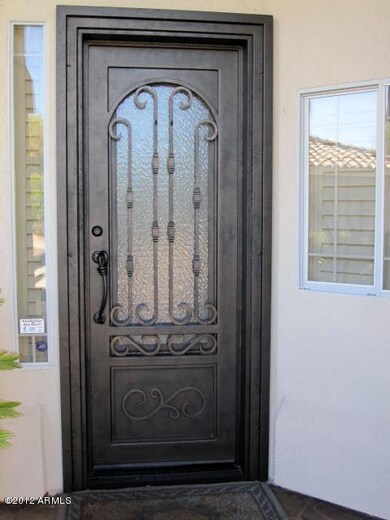 CUSTOM IRON FRONT DOOR