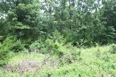 156 Hand Cove Rd, Elizabeth, AR 72531 - photo 4