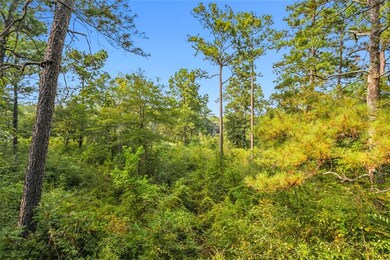 0 Perkins Rd unit 2494320, Lacombe, LA 70445 - photo 5