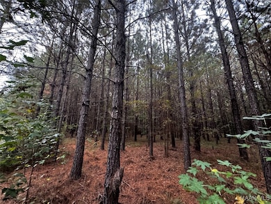 00 Coon Hop Rd, Hardaway, AL 36039 - photo 5