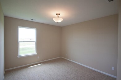 10223 Flagstaff St, Cedar Lake, IN 46303 - photo 7