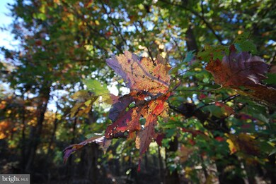 Lot 17 Gaither Rd, Great Cacapon, WV 25422 - photo 2