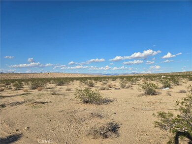5400 Shoshone Valley Rd, Twentynine Palms, CA 92277 - photo 5